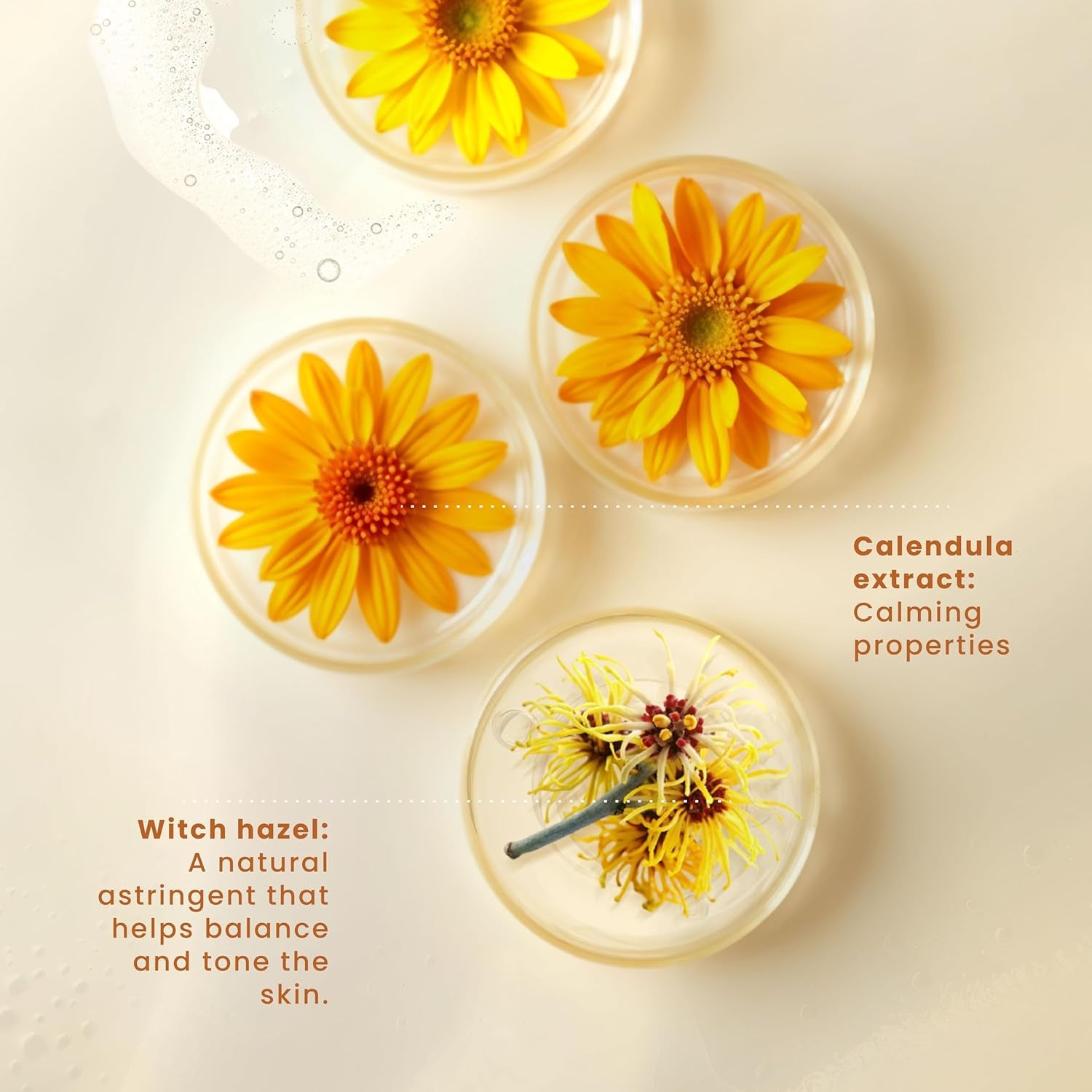 Pili Facial Cleanser with Witch Hazel and Calendula, Cleans and Exfoliates with Controlled Ph